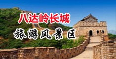 免费看黄色日逼片中国北京-八达岭长城旅游风景区